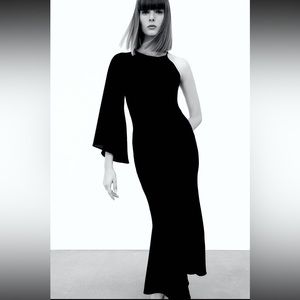 Zara Asymmetric Sleeve Dress, Size Medium